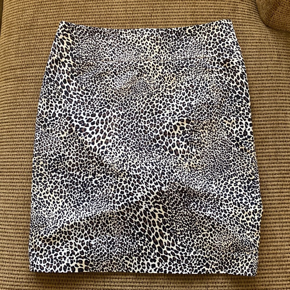 Express Leopard Skirt